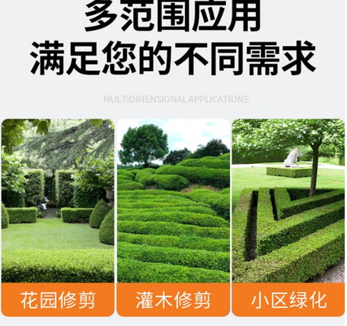 欧玛HCS247P绿篱机 二冲程汽油动力助力高效园林与茶叶修剪